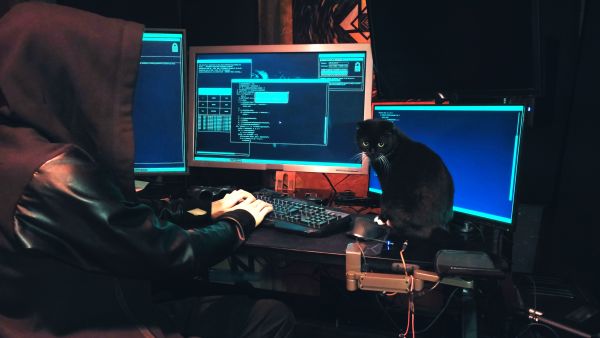 US offers $15m in rewards for BlackCat hackers who stole $94m in Ransomware