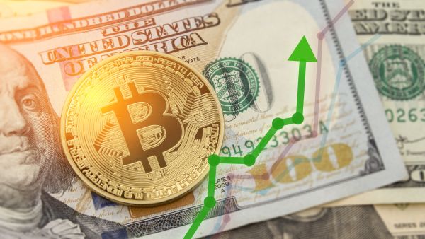 97% of Bitcoin holders are in profit new data shows