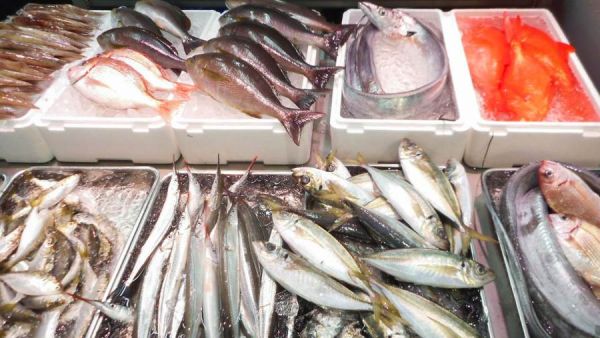 تفسير رؤية بيع السمك في المنام