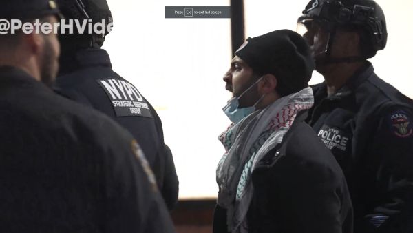 هجوم كبير على نعمت شفيق من رواد التواصل الاجتماعي