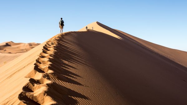 Big Daddy Dune in Namib Desert