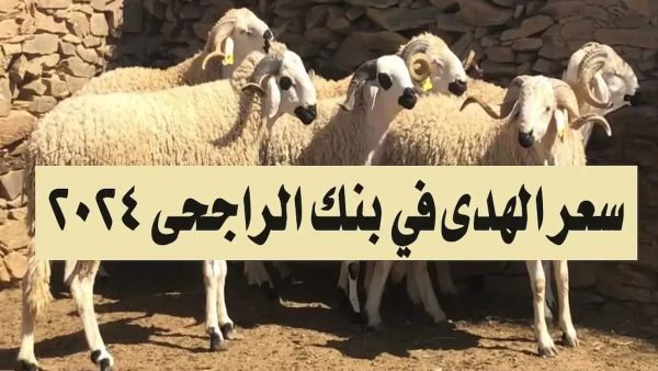 احجز اضحيتك من الجوال | سعر الهدي في بنك الراجحي 2024 وطريقة الشراء إلكترونيًا
