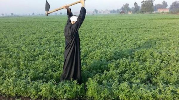 تعرف على مزايا كارت الفلاح الذكي في مصر