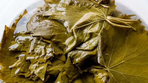 طرق تفريز ورق العنب