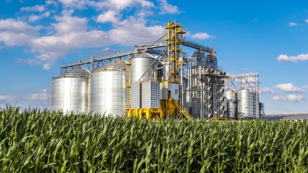 agrifood 