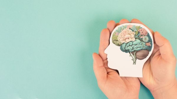 gut-brain 