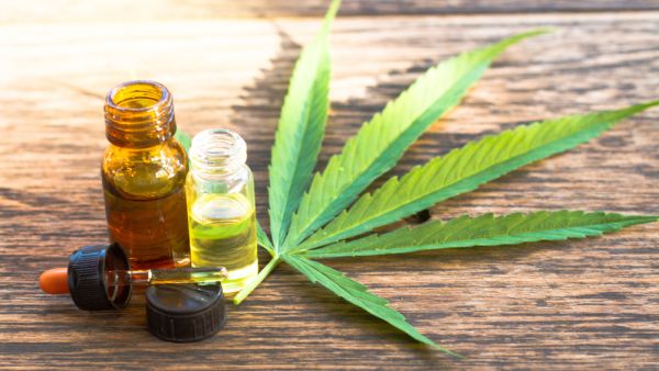 Cannabis 