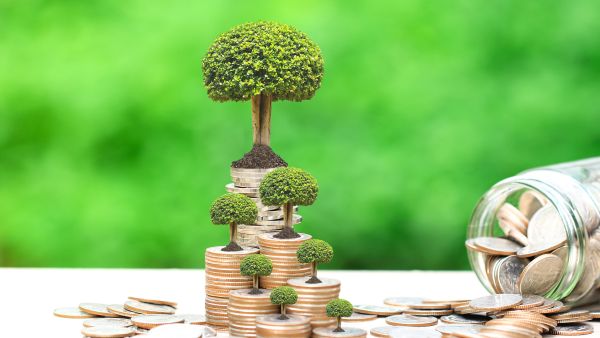green bonds