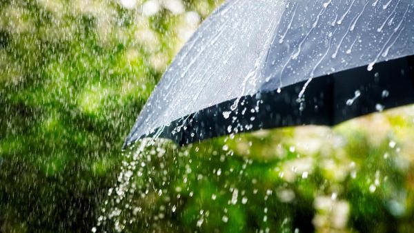 تفسير حلم المطر الغزير في النهار للعزباء وللمتزوجة وللمطلقة