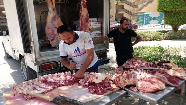  توفير لحوم من 155 إلى 250 جنيه بهذه المنافذ