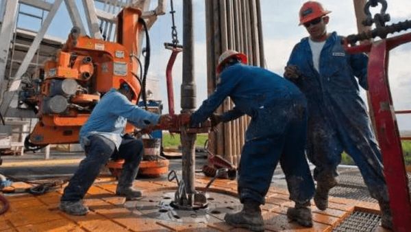  شروط عمل الأجانب في مصر لاستخراج التراخيص