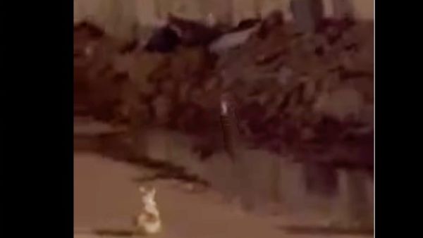 طائرة كواد كابتر تسقط أجسام مشبوهة بجوار مستشفى ناصر الطبي 