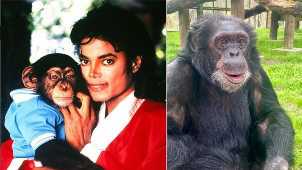 Michael Jackson