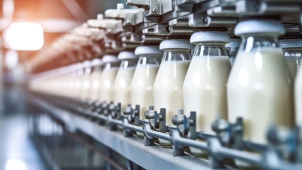 milk 