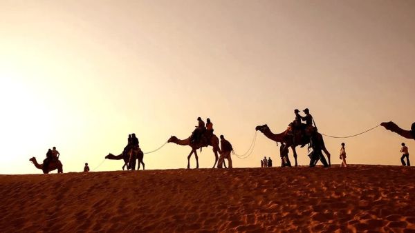 الإيداء وش يرجع؟ أصل عائلة الإيداء ونسبهم