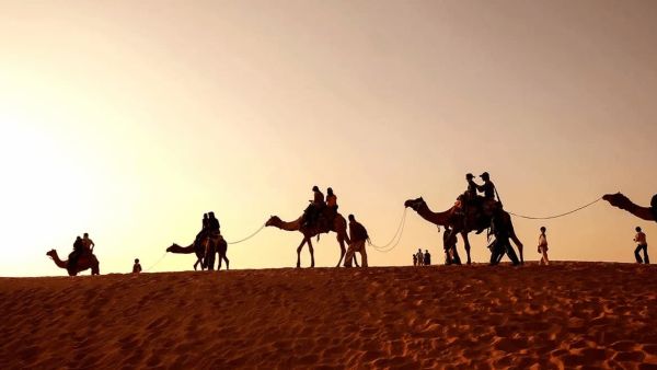 البسامي وش يرجع.. من وين عائلة البسام؟