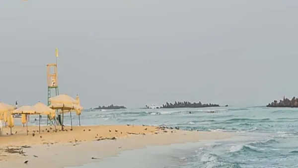 شواطئ اسكندرية