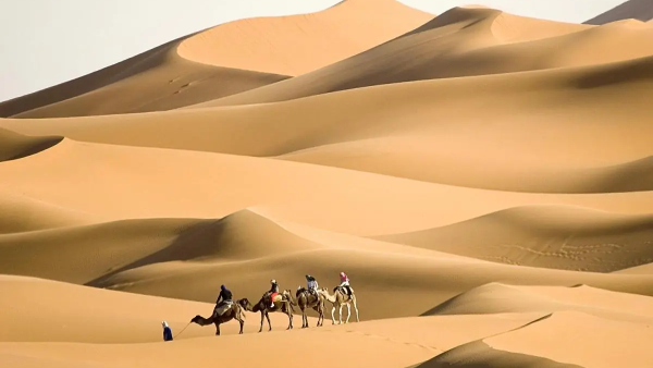 من هو عبد العزيز الدغيثر.. الدغيثر وش يرجعون