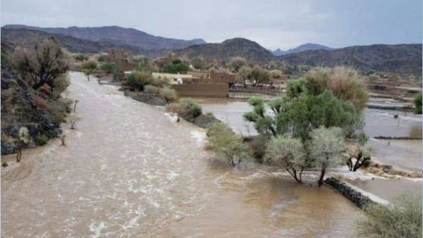 اليمن - سيول - وفيات