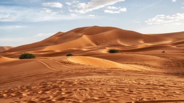 الجزائر - وفاة - الصحراء