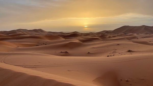 12 Syrians found dead in the Algerian desert