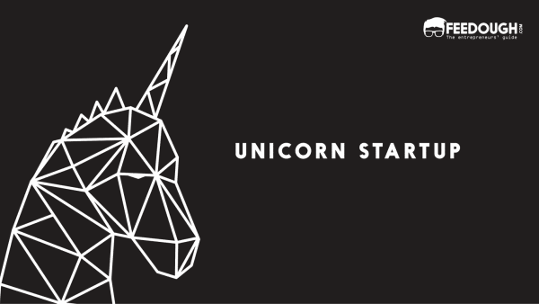 شركة يونيكورن شركة يونيكورن