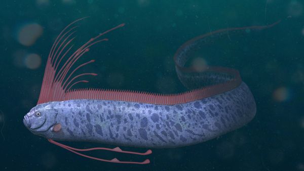 Doomsday fish