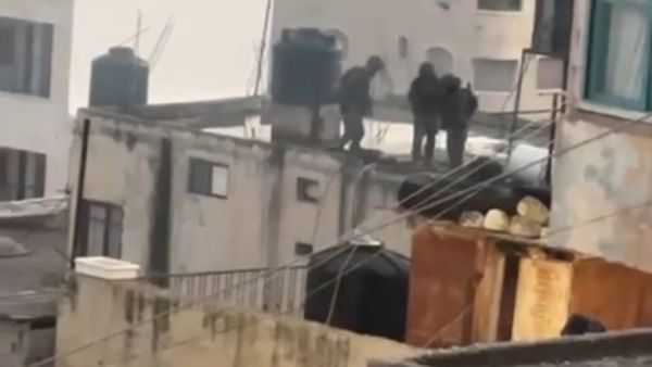 مشهد وحشي