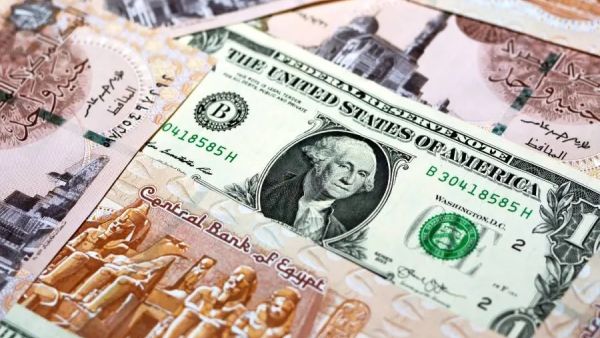 سعر الدولار اليوم في مصر