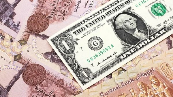 سعر الدولار اليوم في مصر