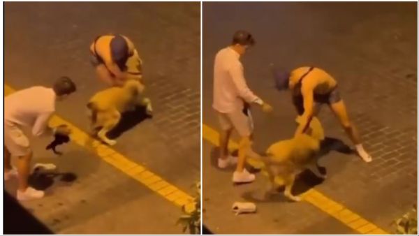 Two tourists arrested in Turkey for attempting to rape a stray dog