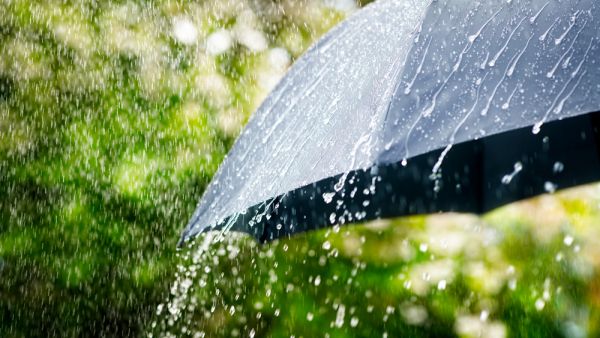 rainfall