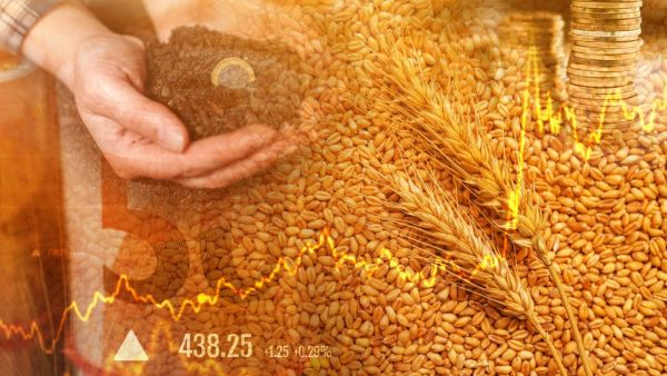 Commodity prices