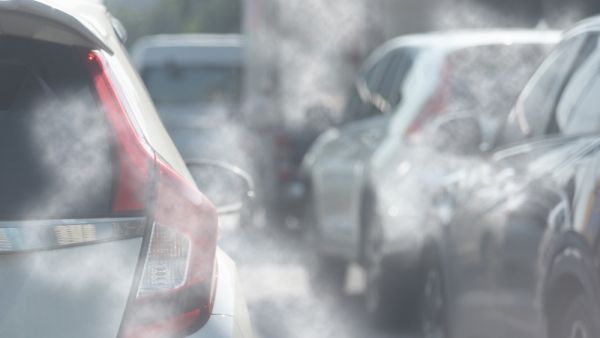 polluted
