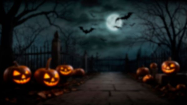 Halloween 2024 