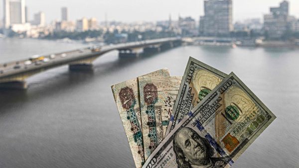 سعر الدولار اليوم في مصر سعر الدولار اليوم في مصر