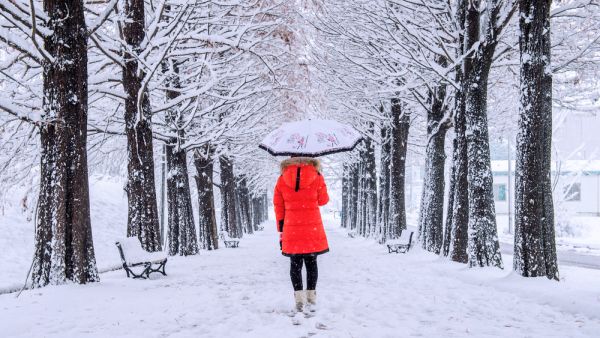 winter