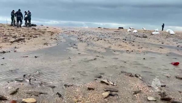 Black Sea oil spill contaminates up to 200,000 tons of soil, Russia says