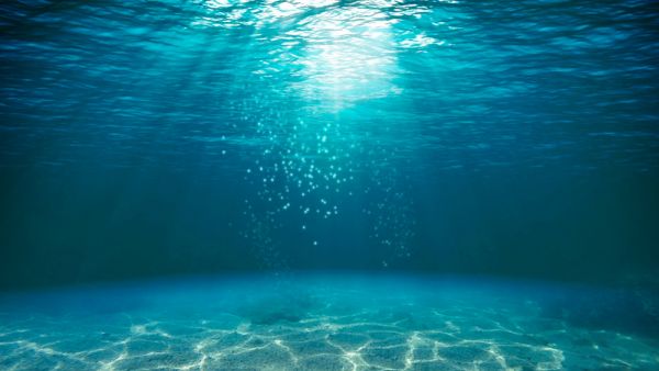 water 