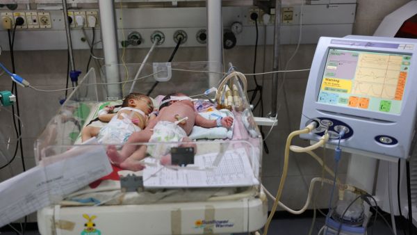 newborn babies