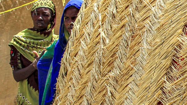 Over 550 rape cases documented in Sudan