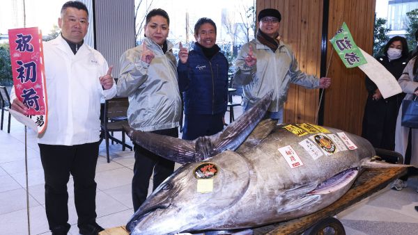 Tuna fish sells for $1.3M at Tokyo auction