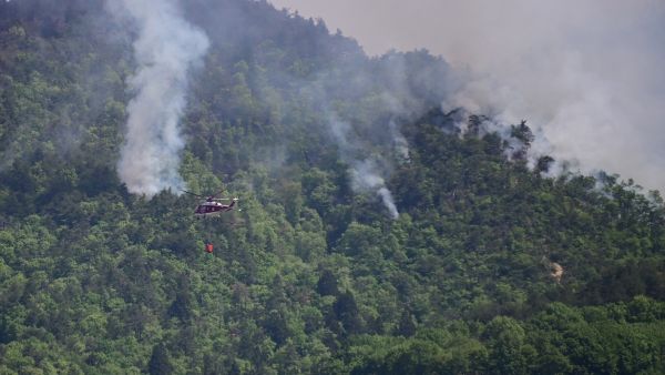 Japan forest fires