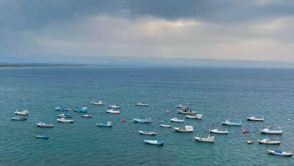 Syria signs new agreement with French company to manage the Port of Latakia