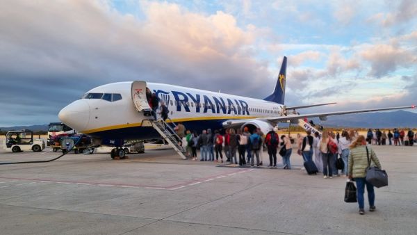 Stowaway cat grounds plane for two days after entering electrical bay