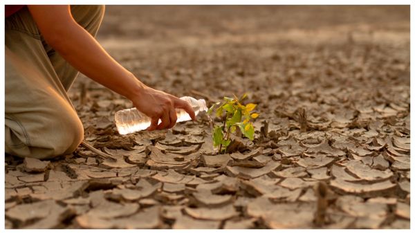 الجفاف يهدد محاصيل المغرب ويعصف الاقتصاد الوطني, المصدر shutterstock