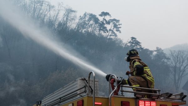 wildfires in South Korea