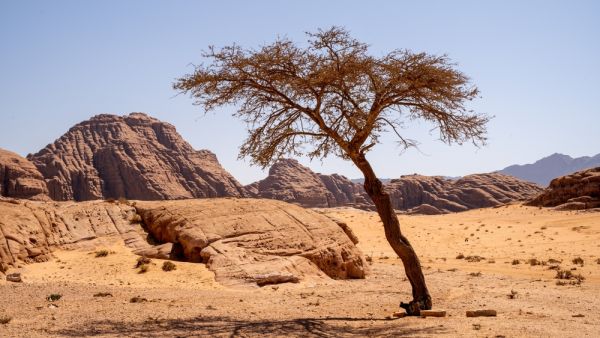 4.0 magnitude earthquake strikes Jordan’s Aqaba area
