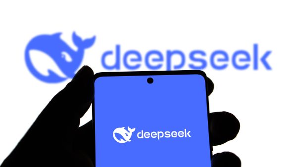 DeepSeek records over 545% daily profit