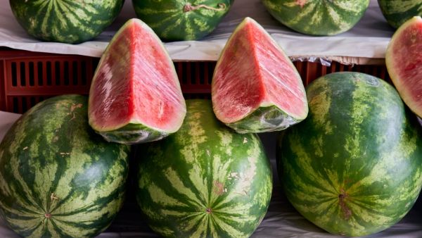 انتبه لهذه الأسرار قبل شراء البطيخ